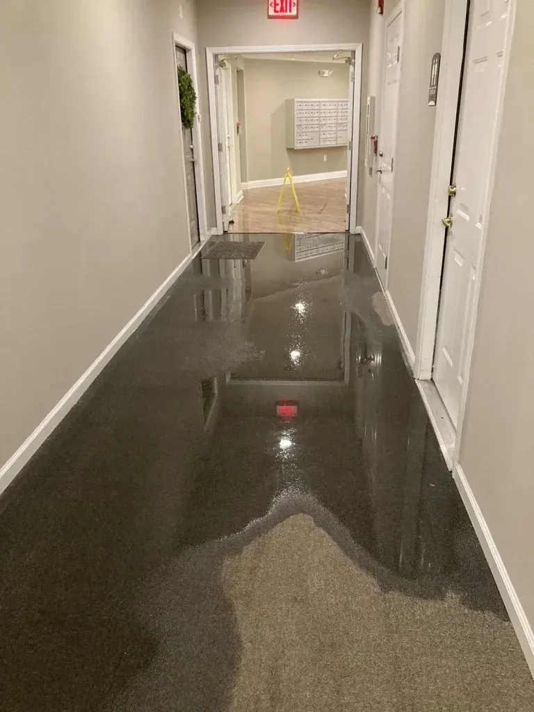Standing water across an interior corridor floor