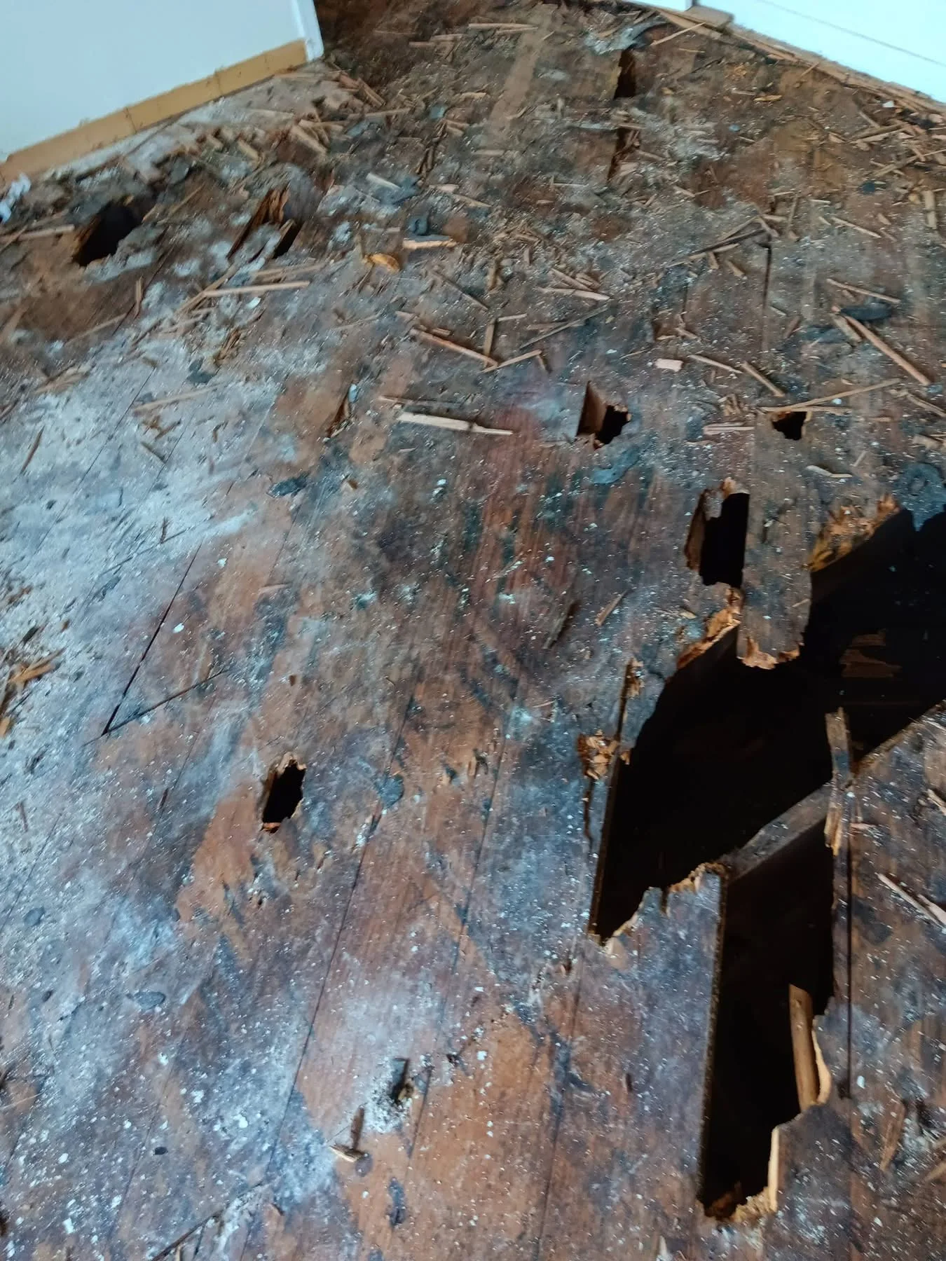 Damaged Subfloor Exposed