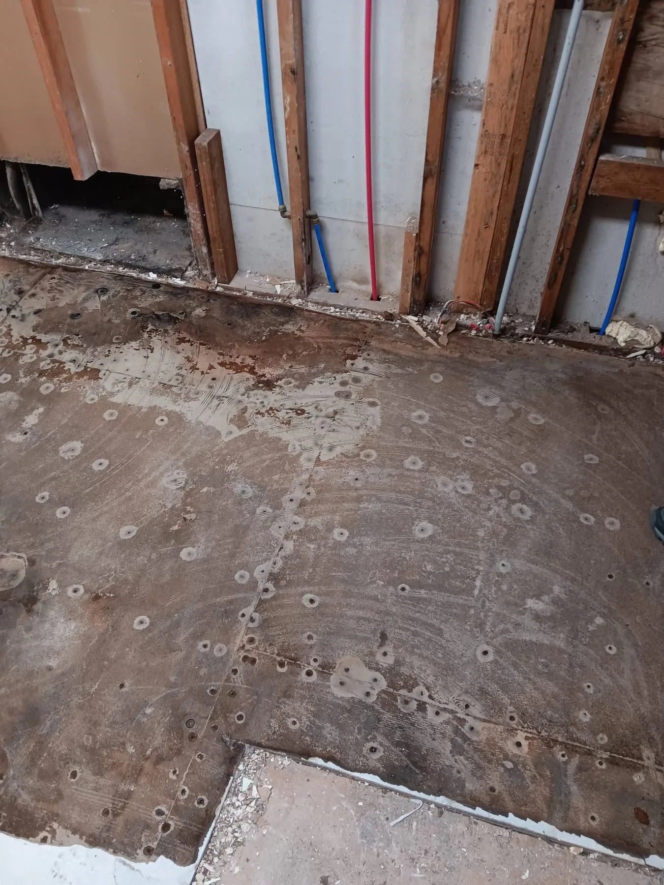 Wall and Subfloor Opened for Repair