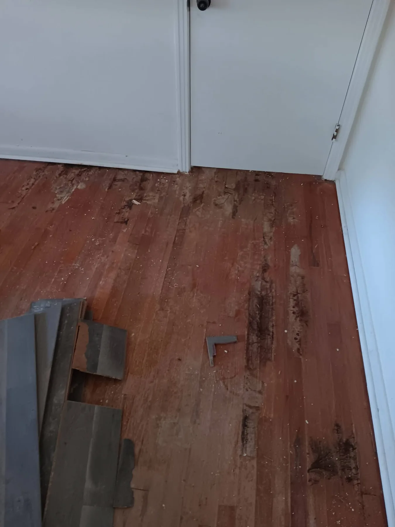 Interior flooring removal work in progress